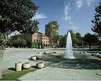 卡普空发布《怪物猎人：荒野》x《街头霸王6》联动预告片