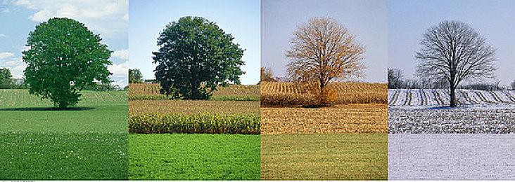 梵高博物馆宝可梦活动再出状况 用户订单被无故取消